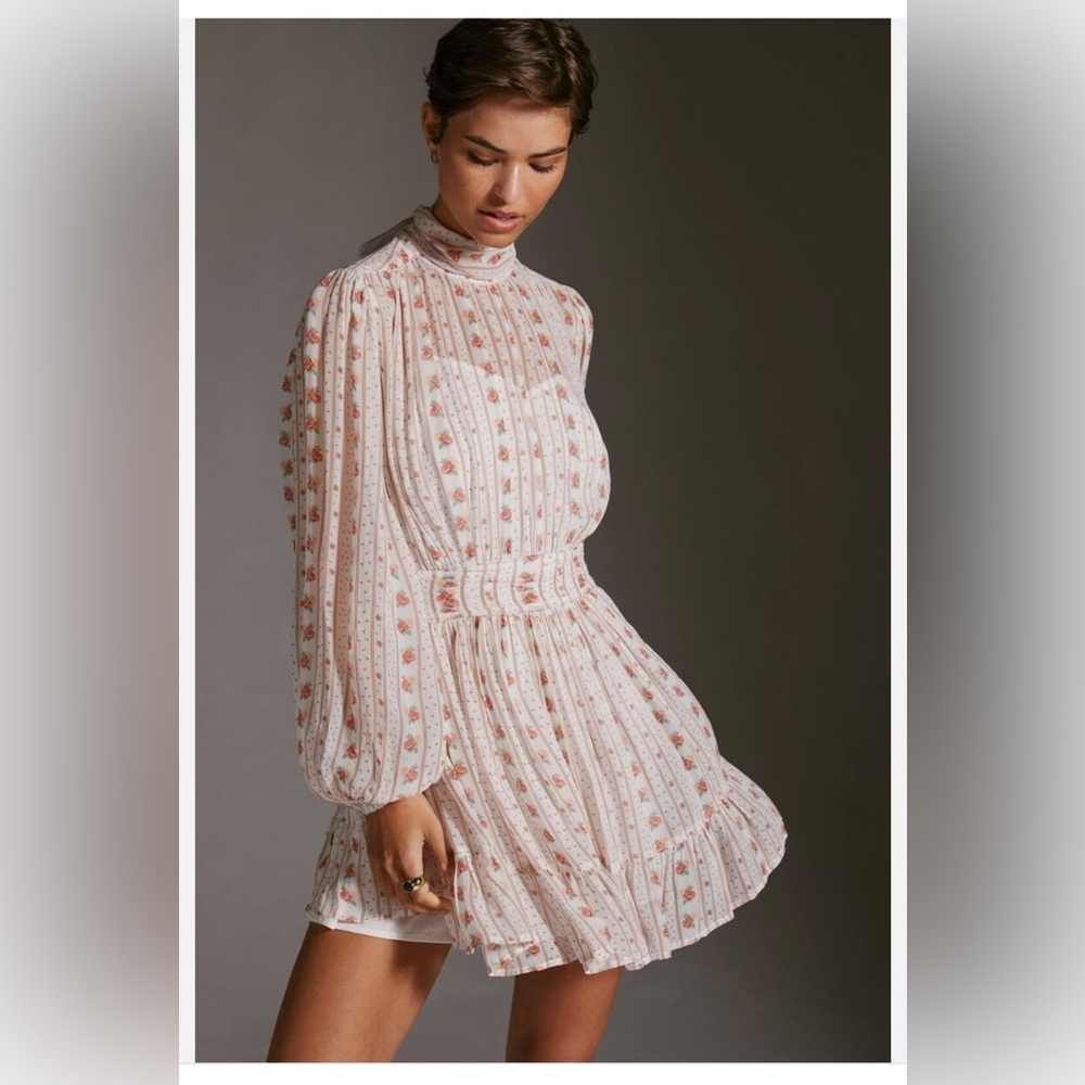 Anthropologie Let Me Be Mock Sheer Mini Dress